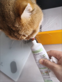 麦德氏化毛膏助猫咪排毛
