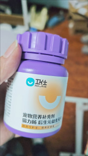 猫咪肠胃调理必备益生菌