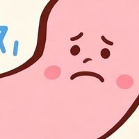 长期调理养胃吃什么药效果好？不伤胃的温和选择
