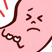 脾胃虚弱怎么调理？调理养胃的中药推荐有哪些