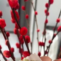 道家口中的仙人余粮，药食同源养肾精，长期体虚的人可以了解