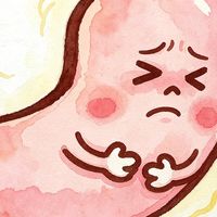 空腹胃不舒服吃哪个牌子的中药好？温和不刺激的选择