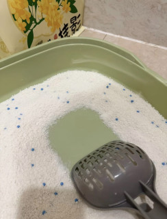 轻松搞定猫砂盆异味问题？