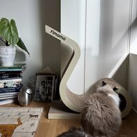 猫抓板这样摆，猫咪超开心！