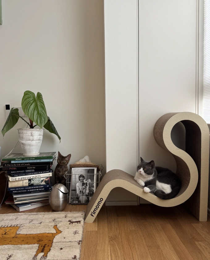 猫玩具