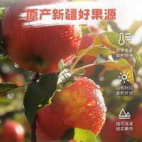 好物分享🌿无添加原生果香！厚切软糯苹果干巨好吃