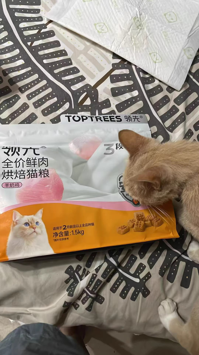 领先猫粮
