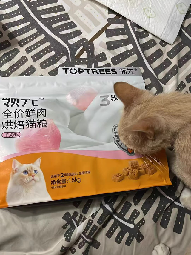 挑嘴猫终于不剩饭，领先这款烘焙粮是真香了