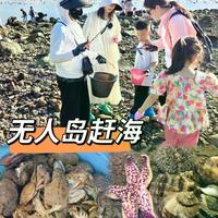 无人岛赶海别只盯着爆桶，潮汐口诀+避坑指南，看完再去能省不少麻烦