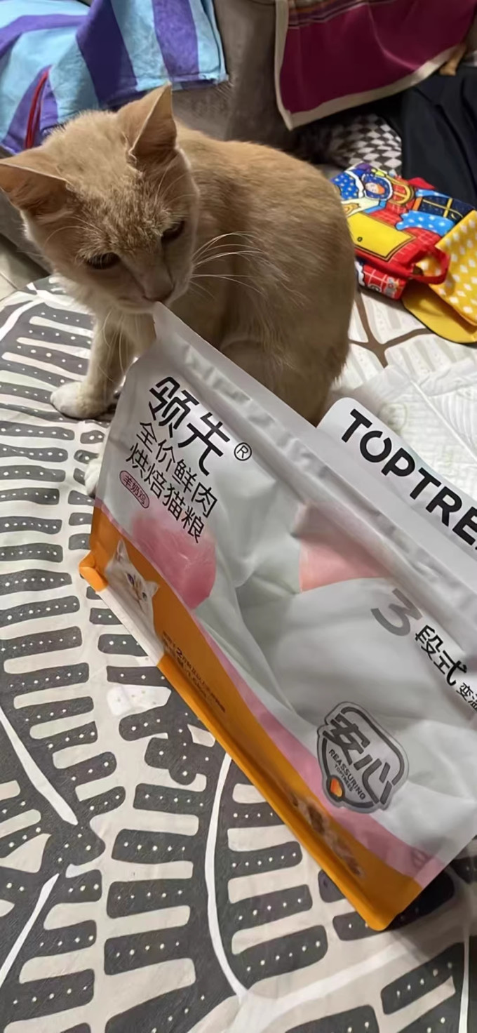 领先猫粮
