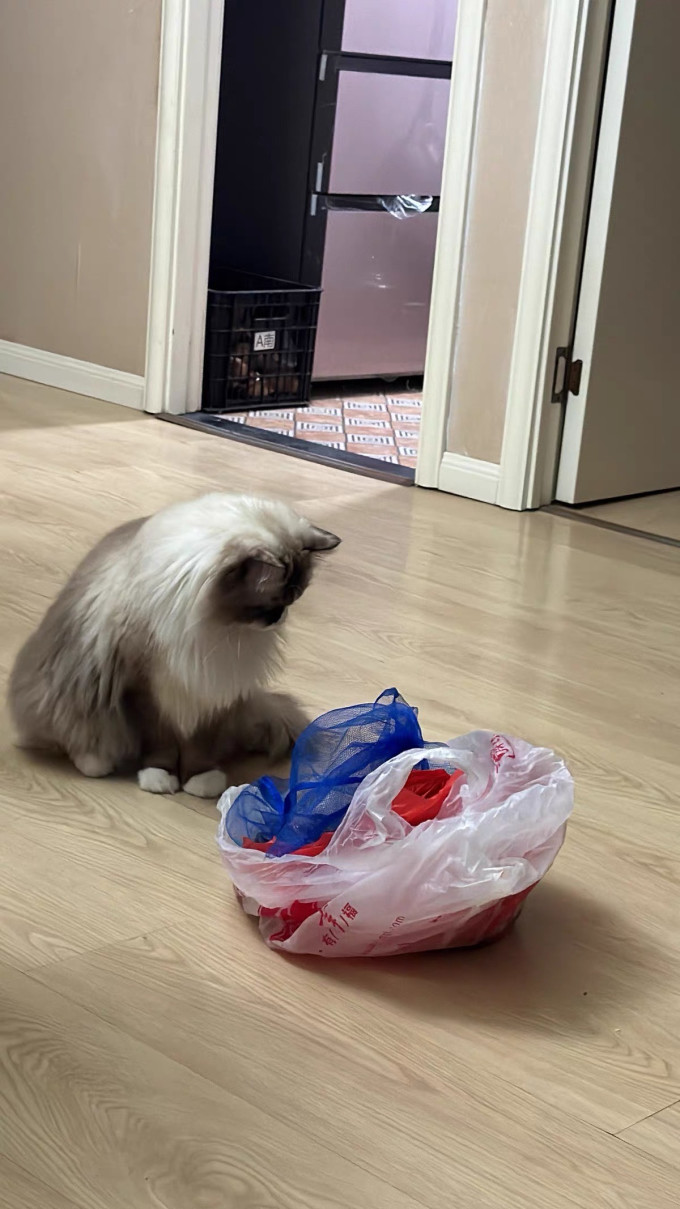 素力高猫粮