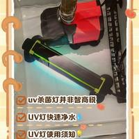 龙鱼缸杀菌灯用错等于投毒！老手亲历：这3点没做对等于白买