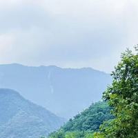 阴虚体质吃黄精调理合适吗？选道地的黄精该怎么挑？2026选购指南