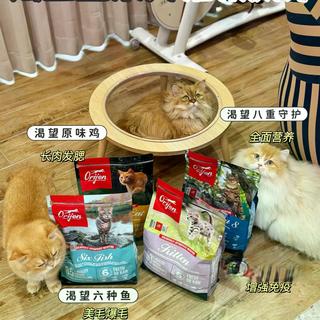 渴望猫粮美毛实测:配方豪华≠适合所有猫,这3类猫咪建议绕道