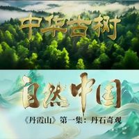 143.4亿人次抢着看！自然纪录片凭什么把综艺甩出几条街