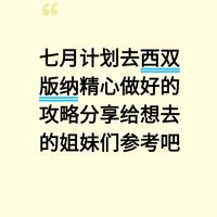 本J人花24h做的西双版纳攻略已next level了