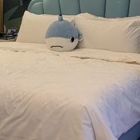 网红亲子房的真实体验与反思