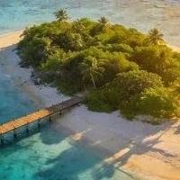 2026维生素B族什么品牌效果佳，呵护黏膜健康，质量合规