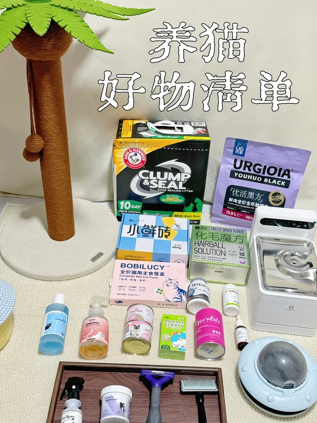 🐈‍⬛ ⋆⁺📓✬ ෆ养猫自用好物分享
