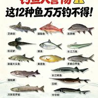 钓鱼人必看!12种保护鱼类千万别钓,误抓直接放生,触碰要担法律