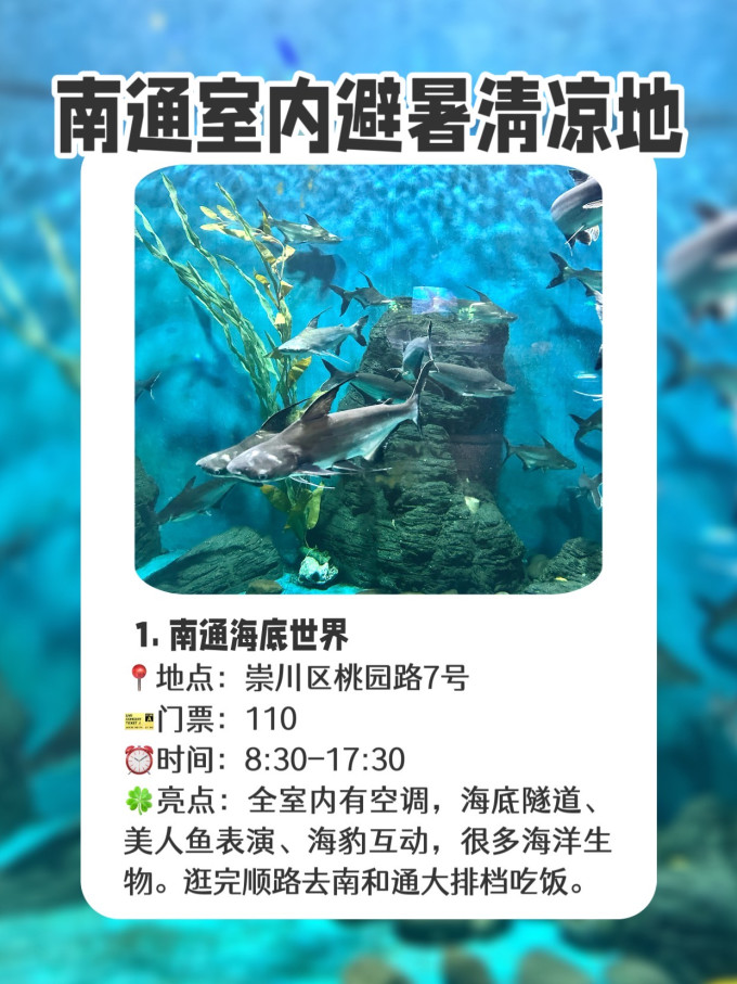 国内度假
