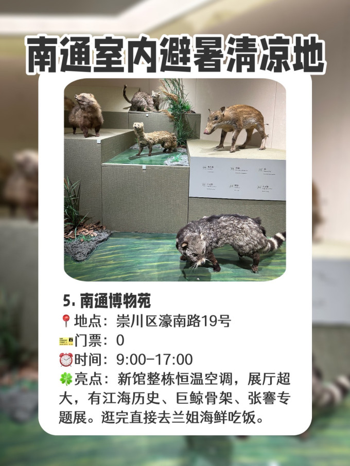 国内度假
