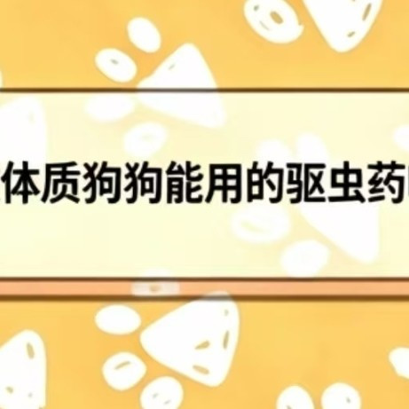 2026过敏体质狗狗能用的驱虫药哪款好用？