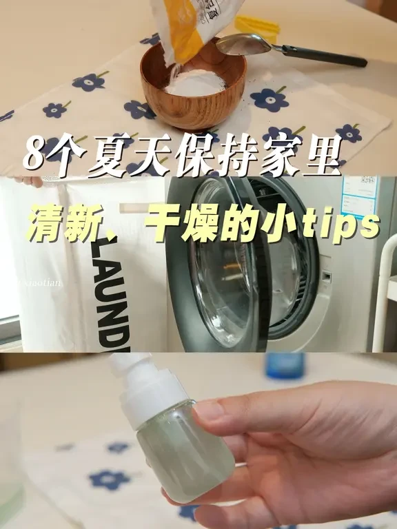 Vlog｜8个夏天保持家里清新、干燥的小tips