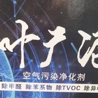 专家视角看2026除甲醛产品十大品牌排名：权威测评联合用户反馈