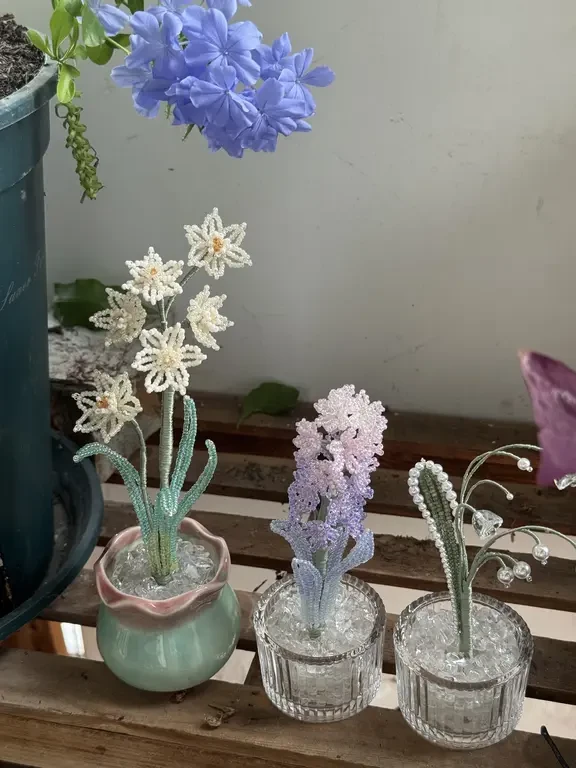 生活的可爱🪴