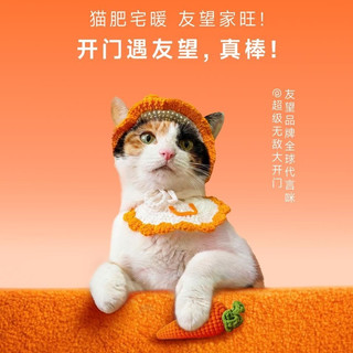 300元档除螨仪怎么选？这台销量王的深层除螨和防缠毛实测把我征服了