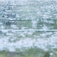 上海老破小的梅雨季“专属味道”，夏普D20一个月帮我彻底清除了