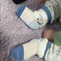 春夏宝宝透气棉袜✨尼多熊2025新款男童卡通网眼薄款婴儿袜