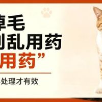【实测】猫咪皮肤病用药怎么选？