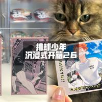 排球少年徽章二手拍出8万3，年轻人买谷到底买的是什么