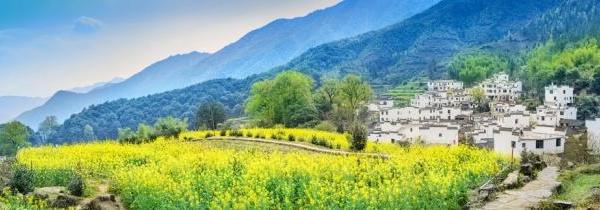 原创配图难？分享2026实测好用的十大图片素材网站推荐，深度测评找图片素材网站
