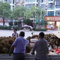 哈尔滨榴莲价格两极分化：9.9元/斤能捡漏，有人却花70元/斤！真相来了
