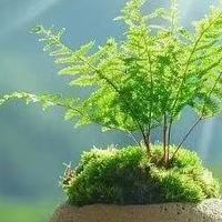 母婴家庭新房儿童房除醛指南!6款安全高效喷雾炭包实测横评