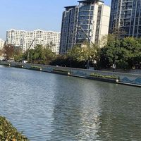 花16000买的约克夏被认定“星期宠”,法院判全额退款:商家这句免责话术根本无效