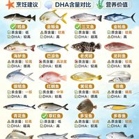 20种常见海鱼完整图鉴!汞含量、DHA、烹饪技巧一次性讲透