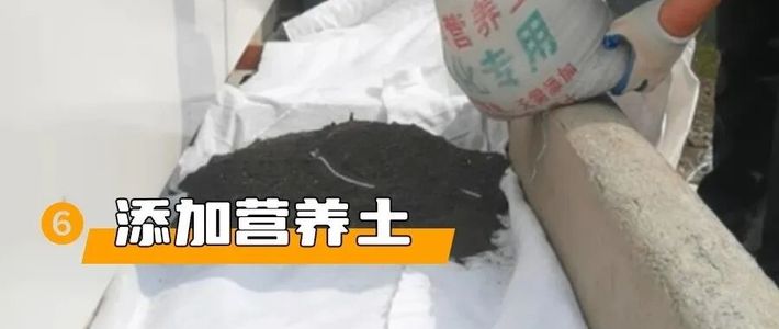 露台种花避坑指南：少走三年弯路