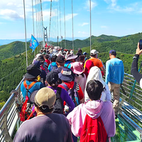 不用卷成绩，不计时不排名，这场万人徒步凭什么火遍全国