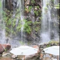 旅行从“加分项”变成“续命项”