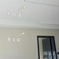 立邦网红色号真实测评：采光差千万别刷这个色，一不小心就翻车