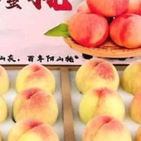 无锡阳山水蜜桃新鲜上市