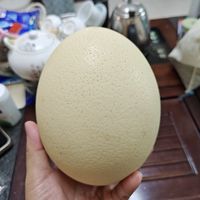 用锤子才能打开的蛋吃过吗