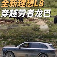 理想L6/L7/L8/L9谁最能“过”？离地间隙实测对比，看完选车不纠结