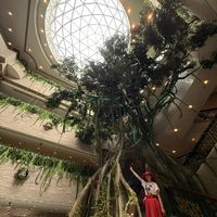 4.5吨头像、3000件文物!上博美洲大展超长展期16个月,VR体验萌翻全场