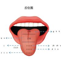 追剧5年发音还是中式？老粉亲测：这样练美剧才能真正告别Chinglish