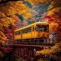 金色山口列车选舱指南：全景vs普通、一等vs二等，这笔差价到底值不值？